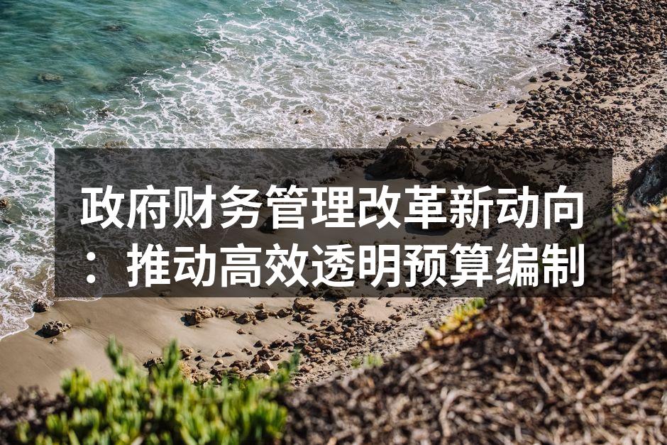 政府财务管理改革新动向：推动高效透明预算